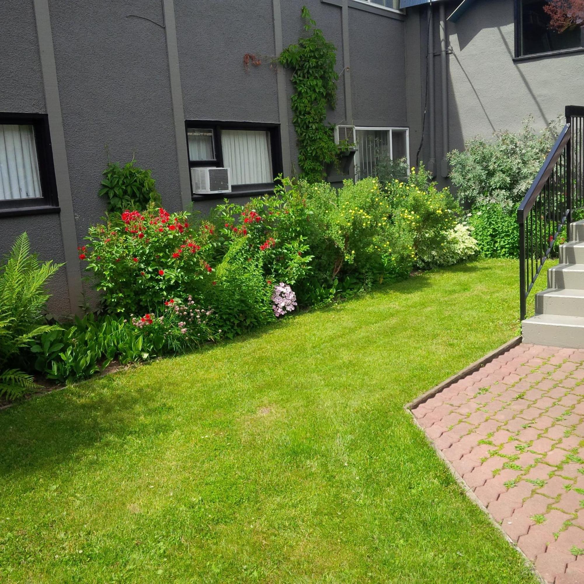 Wells Gray Inn Clearwater Exterior foto